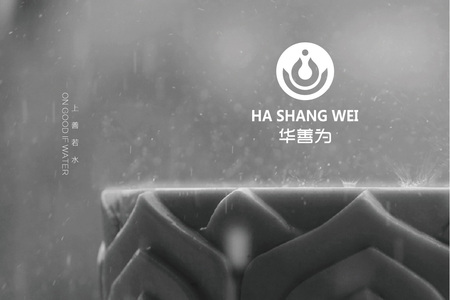 吉林省华善为健康产业有限公司VI